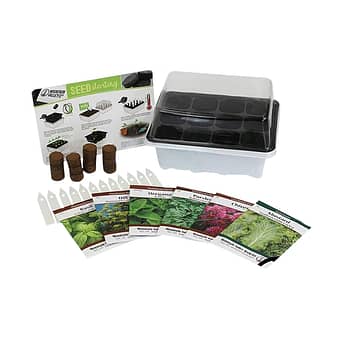 Culinary Herb Seed Starter Kit delivery service
